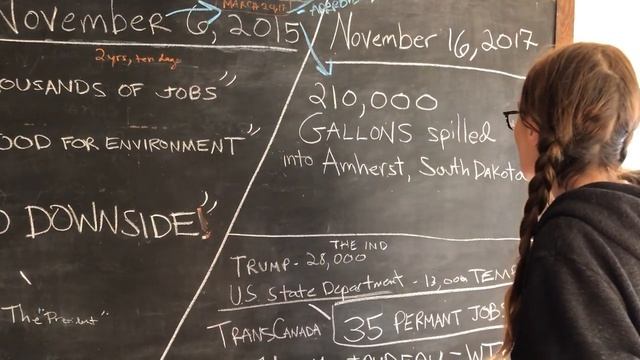 Fiona Apple asks Donald Trump to respond to Keystone Pipeline spill смотреть онлайн