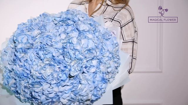 Букет из 15 голубых гортензий смотреть онлайн