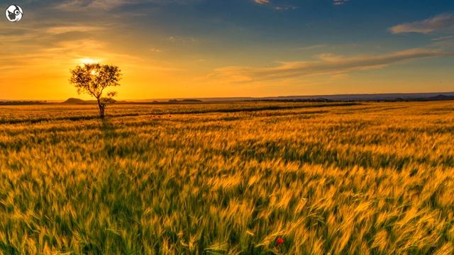 Нежная Музыка Для Релаксации и Расслабления 5 Минут смотреть онлайн