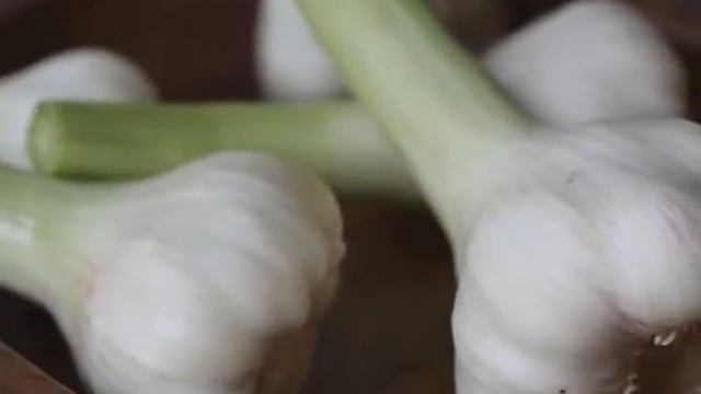 Свойство чеснока и его польза смотреть онлайн