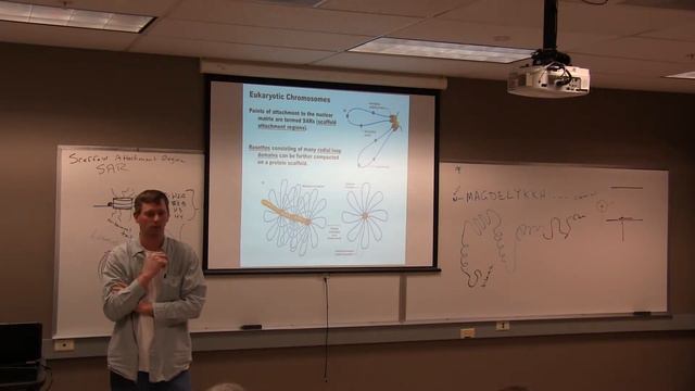 Class 21- 3/19/14 смотреть онлайн