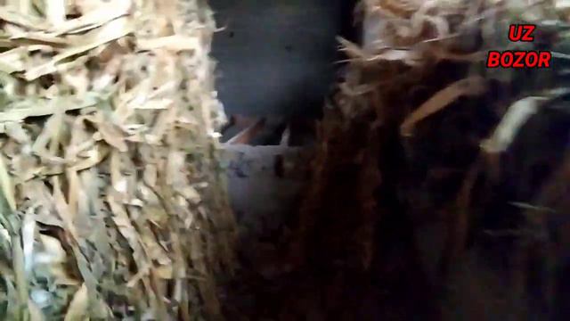 #УЙ #УЧАСТКА #28МИНГ $КАМИ БОР ХОВЛИЛИ УЧАСТКА СЎРАГАНЛАР БОРМИДИ УЙ ЭГАСИНИ НОМЕРИ +998938327166 смотреть онлайн