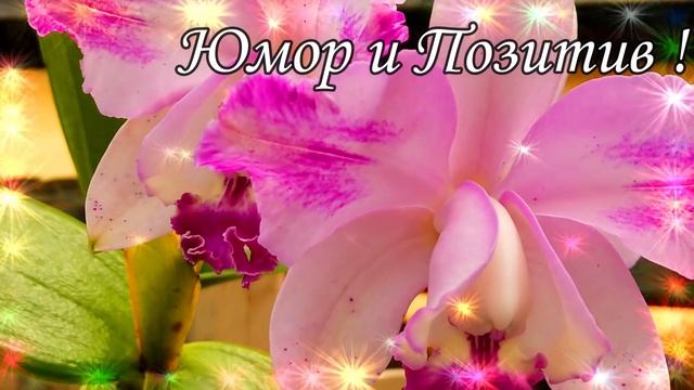 ???С Днём Рождения 15 Ноября? Красивое Поздравление С Днём Рождения!??? Музыкальная открытка ?????