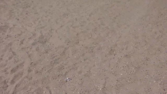 Бесплатные и платные пляжи Стамбула/ Пляжи Турции после пандемии смотреть онлайн