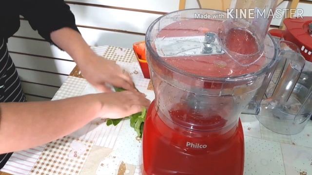 Demonstraçao multiprocessador 9 em 1 Philco veja como funciona смотреть онлайн