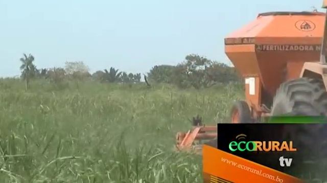 Greenfield recibe la visita del Presidente de Atlántica Agrícola смотреть онлайн