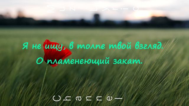 Alekseev-пьяное солнце (текст песни) Muz Lyric смотреть онлайн