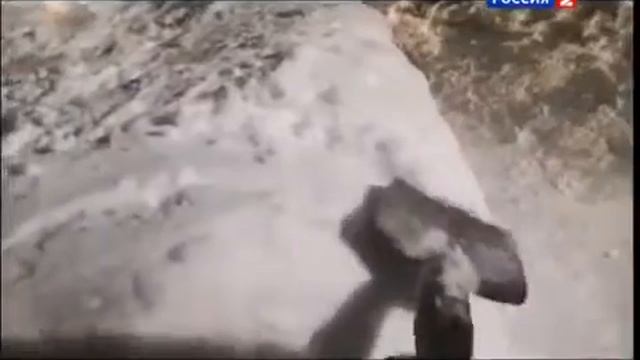 Рейтинг Баженова. Где собака порылась. смотреть онлайн