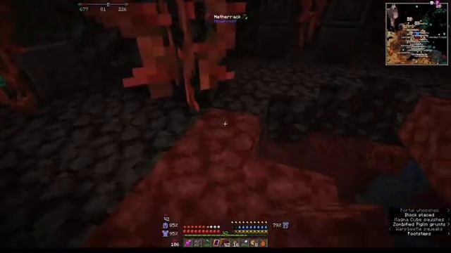 Checking out the Nether | Medieval Minecraft 1.16.5 смотреть онлайн