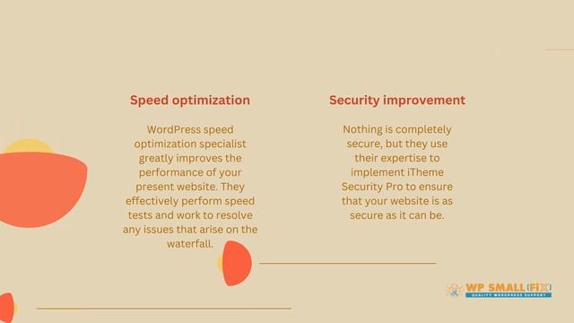 Services in WordPress maintenance plans | WP Small Fix смотреть онлайн