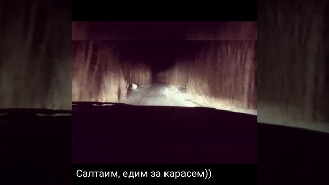 Омская область, Крутинский район деревня Березово ловля карася смотреть онлайн