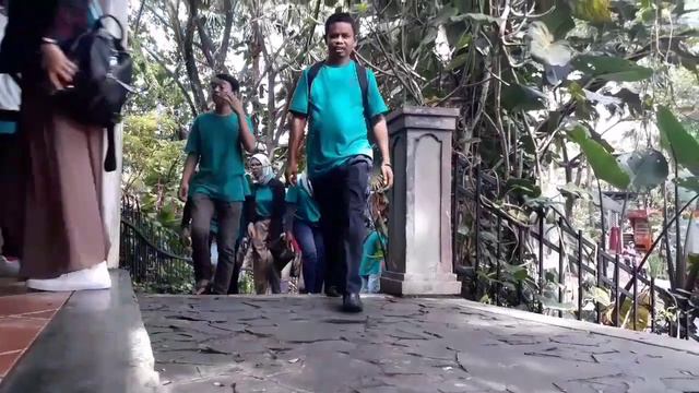 Jungleland adventure theme park famget itomol company смотреть онлайн