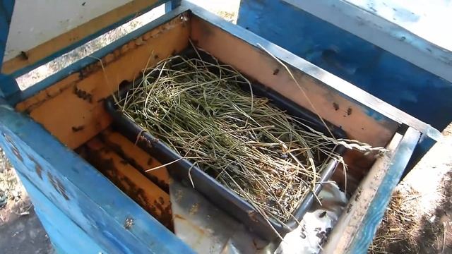 Сборка гнезд и закармливание пчел в зиму сахарным сиропом с полынью смотреть онлайн
