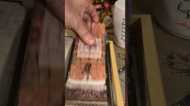 My Tree Whisper Oracle has a special place to rest.... смотреть онлайн