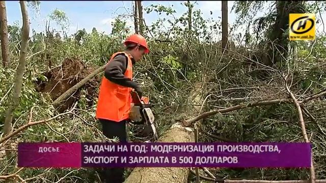 Министерство лесного хозяйства Беларуси поставило задачи на 2017 год смотреть онлайн