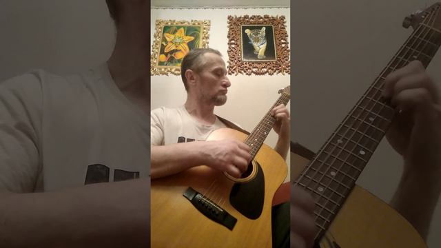 *Женская нерешительность* Гитара. В исполнении автора Дорошенко Богдана. смотреть онлайн