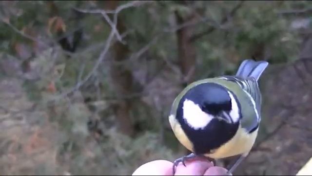 Семейный путь к преуспеванию