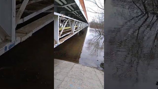 Вот она река матушка Клязьма протекает в Подмосковье. смотреть онлайн