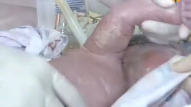 В Туве происходит спад рождаймости смотреть онлайн