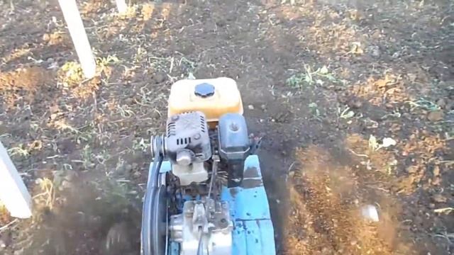 Последний сбор редиса Селеста смотреть онлайн