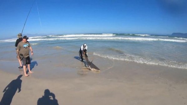 Fun day out on the False Bay coast