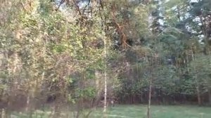 К ЛЕСНЫМ ДУХАМ ДЛЯ ВЕЗЕНИЯ В ДЕЛАХ ДЛЯ ВСЕХ