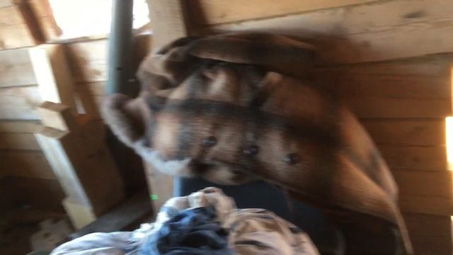 Дача. смотреть онлайн