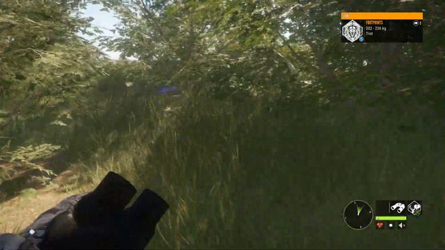 The Hunter Call of the Wild Vurhonga Savanna Part 14 смотреть онлайн