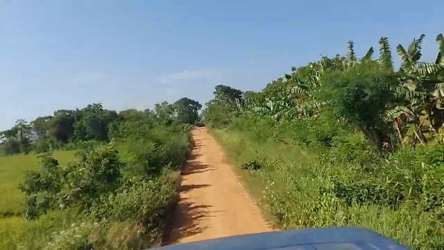 Beautiful Village In Hambantota | Sri Lanka