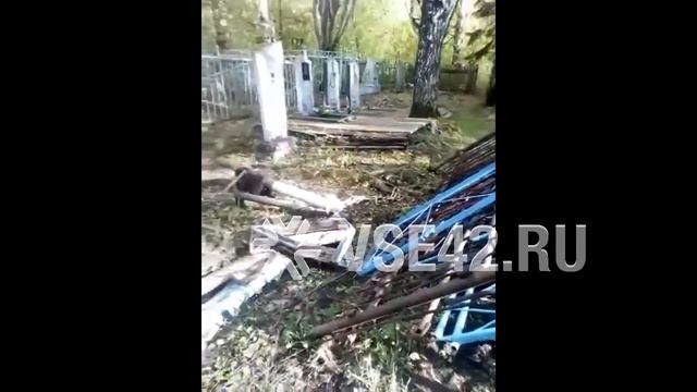 Оградки на кладбище в Кедровке смотреть онлайн