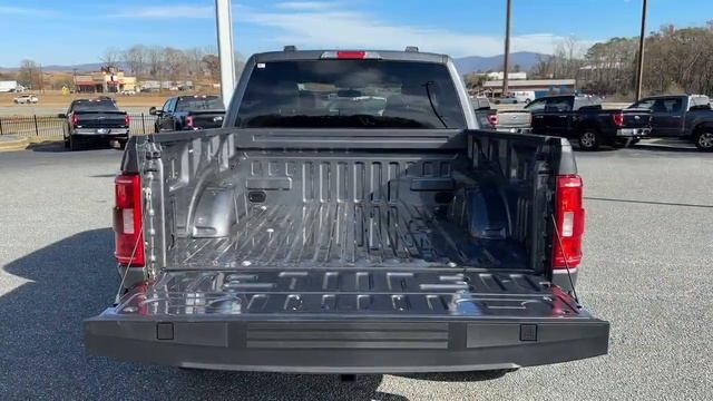 2023 Ford F-150 Jasper, Canton, Woodstock, Alpharetta, Kennesaw, GA F8495 смотреть онлайн