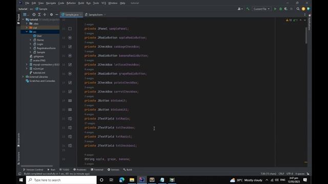 Intellij IDEA Radio Button And Check Box смотреть онлайн