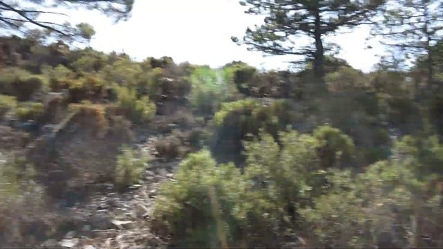 Дневник мертвеца - La Maroma 1 смотреть онлайн