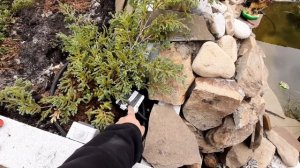 Вечерние освещение для пруда. Своими руками