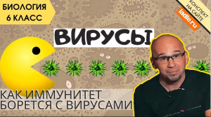 Вирусы. Биология 5, 6 класс. Как атакуют вирусы гриппа человека_ Строение, отличие от бактерий. ЕГЭ