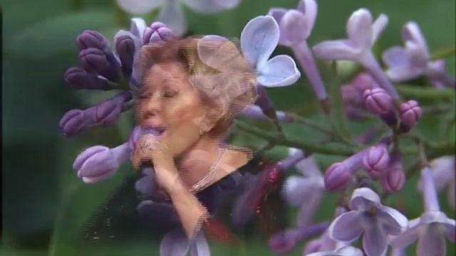 Любовь Успенская - Сирень. смотреть онлайн