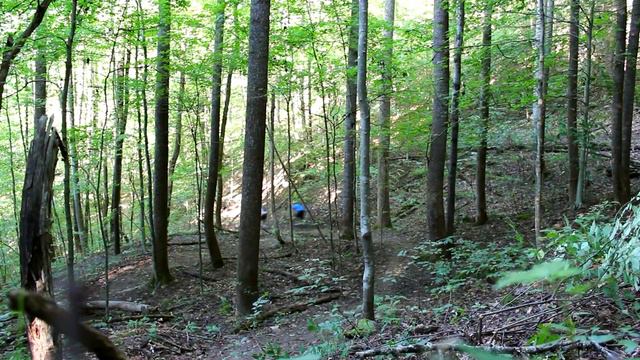 Sugarcamp Mountain Bike Trails - Prestonsburg, KY