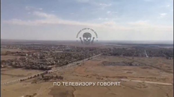 Мы в Пальмире!