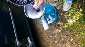 Очистка ягоды от мусора (тест  5 мокрая ягода)