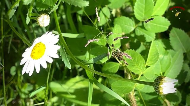 Какие болезни даются за какие грехи. смотреть онлайн