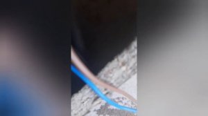 Потключаем саб к музыкальному центру