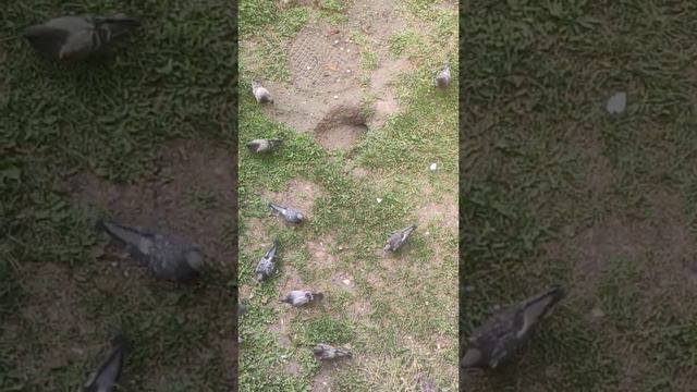 больница Илизарова смотреть онлайн