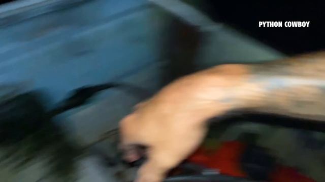 Night Python Hunt On Python Islands смотреть онлайн