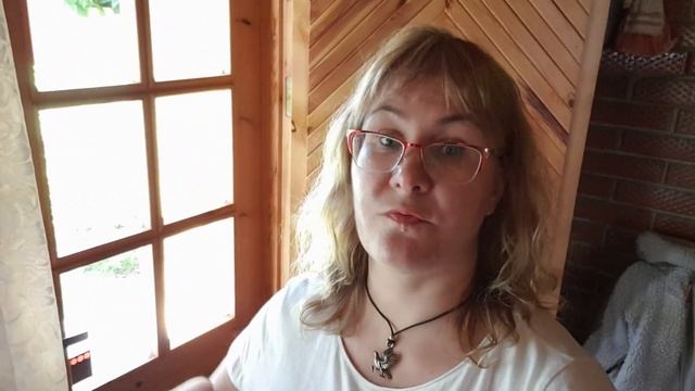 Дачный блог.Дачные хлопоты.Чем заняться на даче.Снимаю краску с окон.Заперлись в комнате в доме мыш