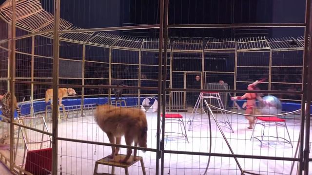 24 сентября 2018 г. смотреть онлайн