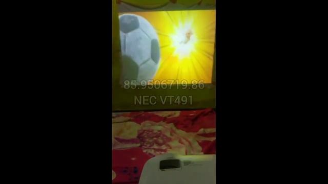 Projector - Proyektor NEC VT491