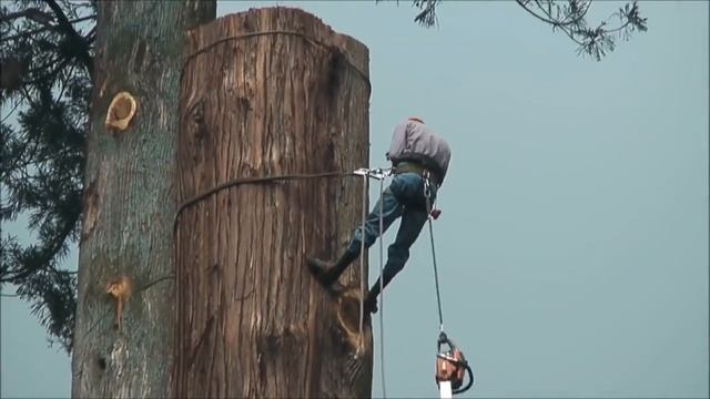 5 САМЫХ ОПАСНЫХ ПРОФЕССИЙ В МИРЕ смотреть онлайн