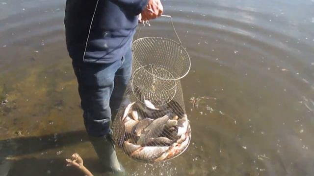 Скоро Весна и начнет клевать наш любимый карась рыбалка в Запорожье смотреть онлайн