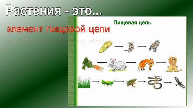окружающий мир 1 класс проект " зачем нужны растения" смотреть онлайн