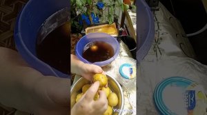 Разводим ФИТОСПОРИН и проращиваем картофель.